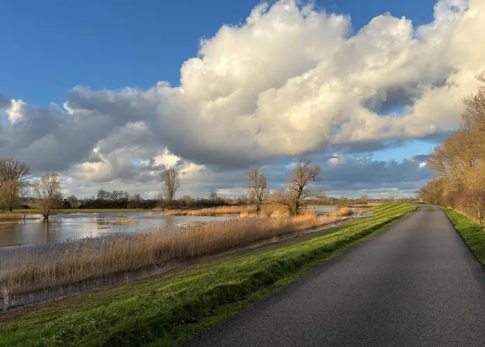 Ijsselgoud