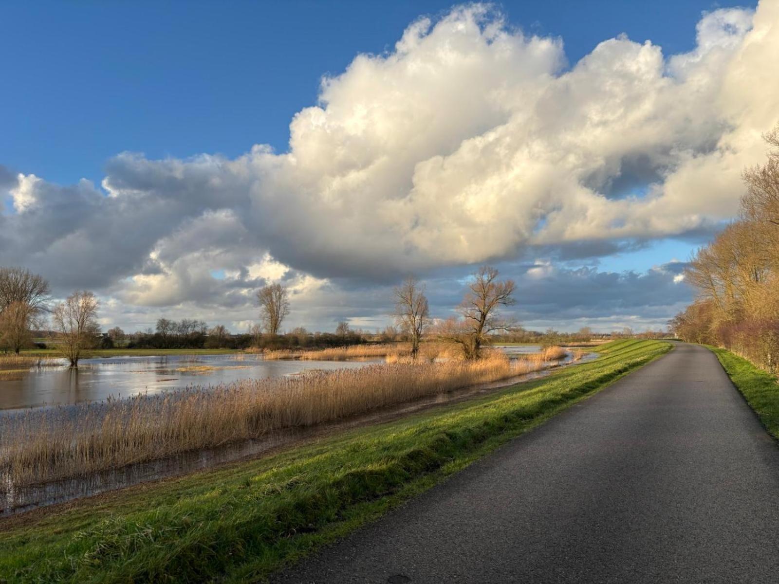 Ijsselgoud *